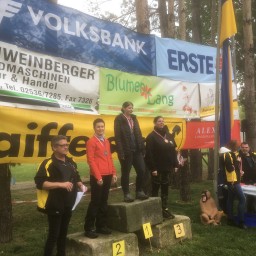 bsv