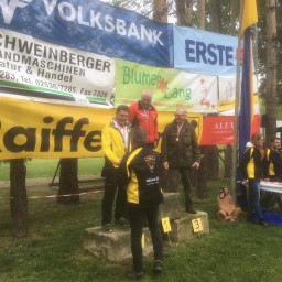bsv